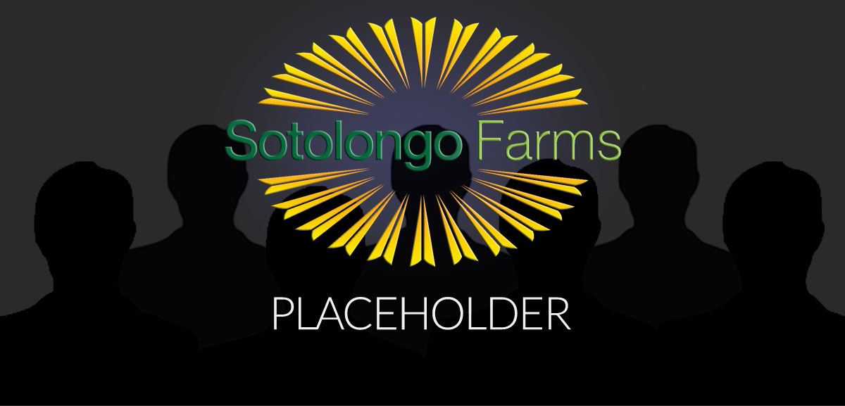 team-placeholder-logo
